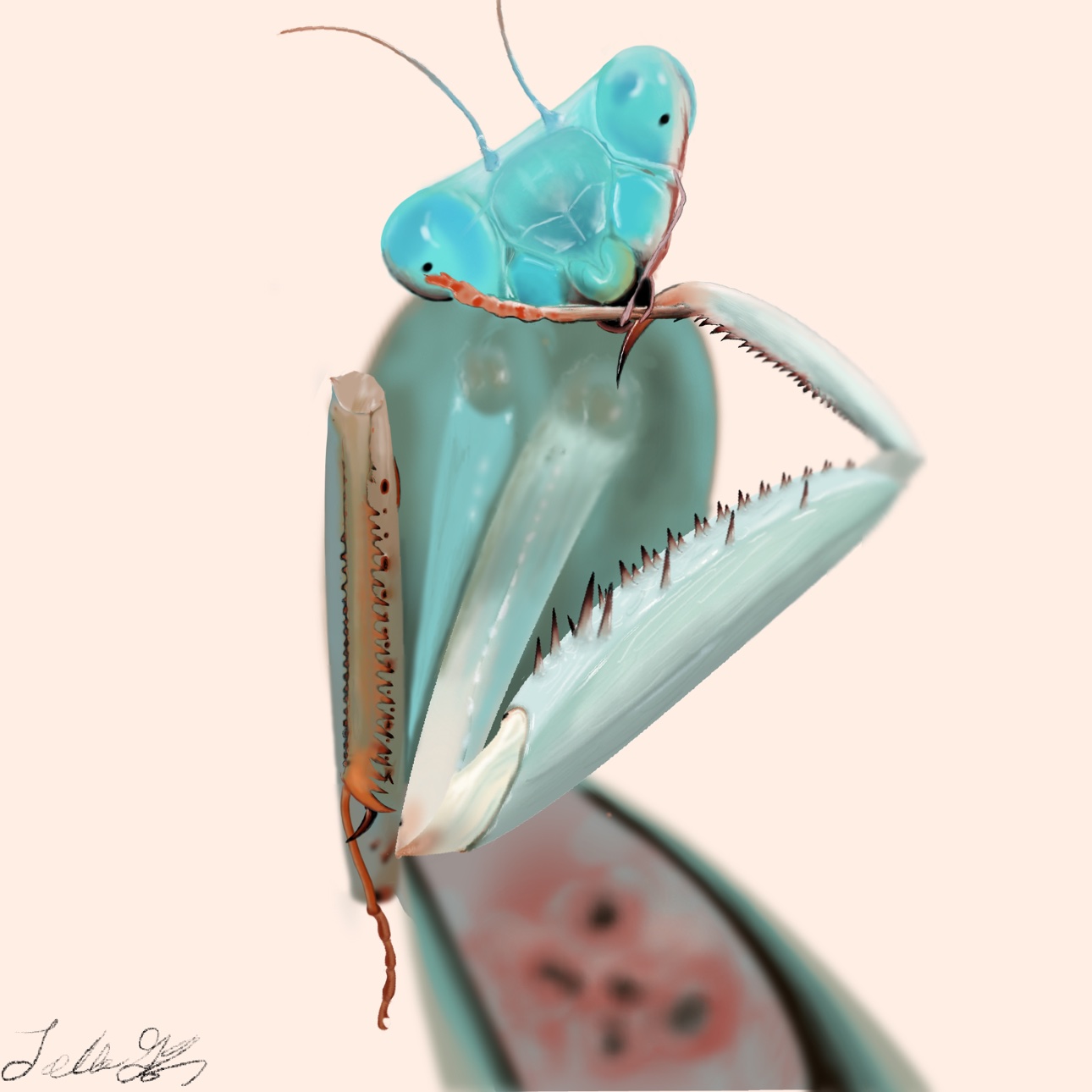 A turquoise praying mantis illustration